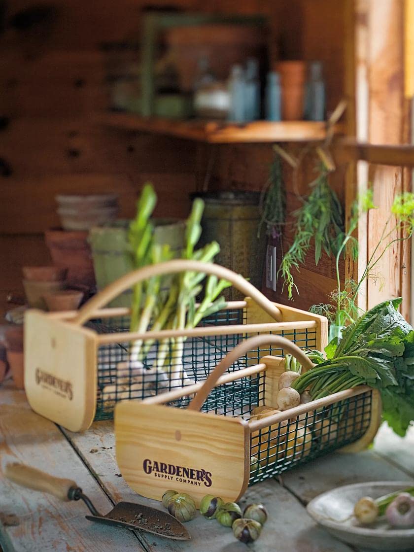 Gardeners Supply Company Harvest Basket, Natural Smooth Pine