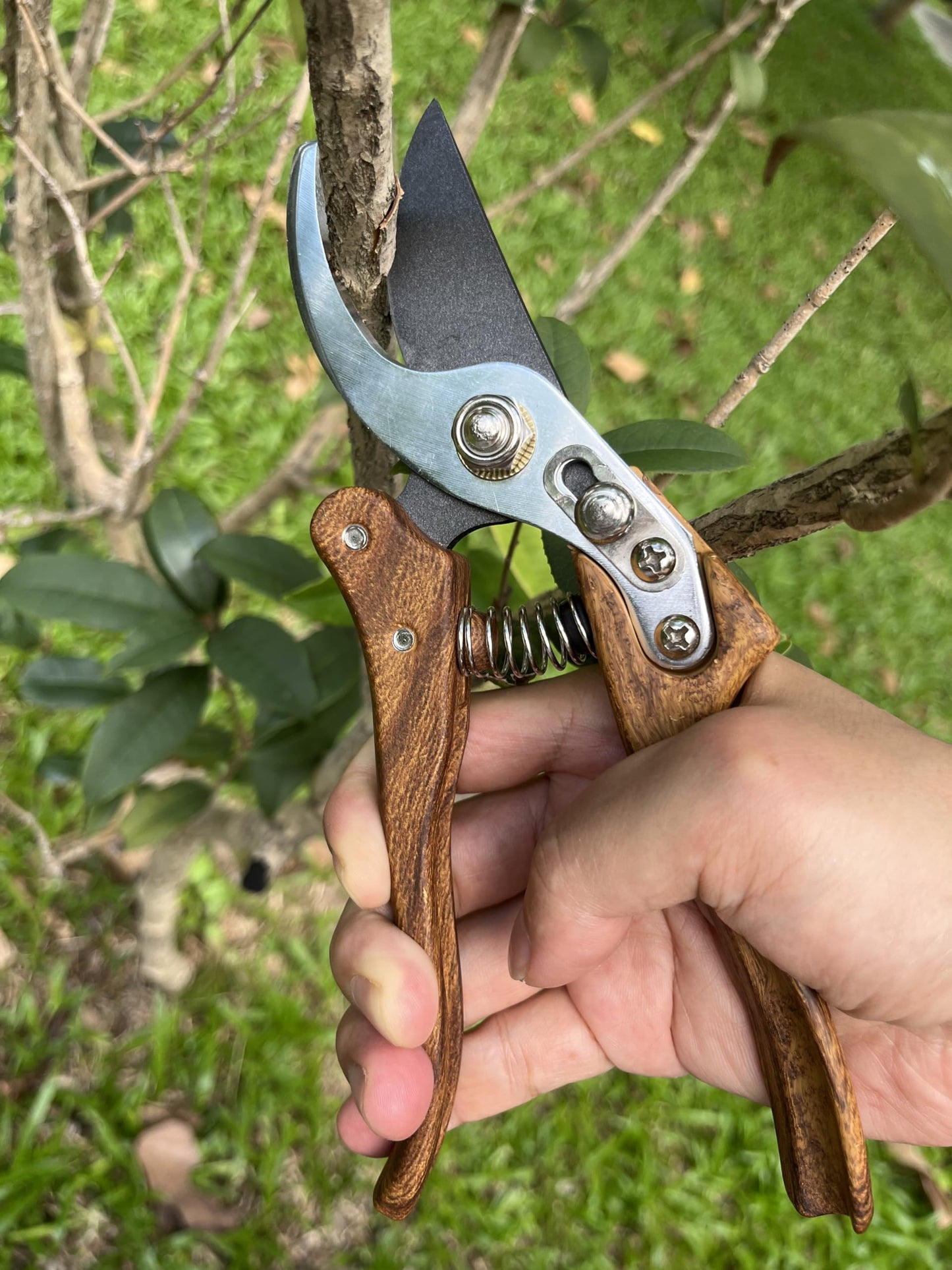 Garden Pruning Shears, High Carbon Steel