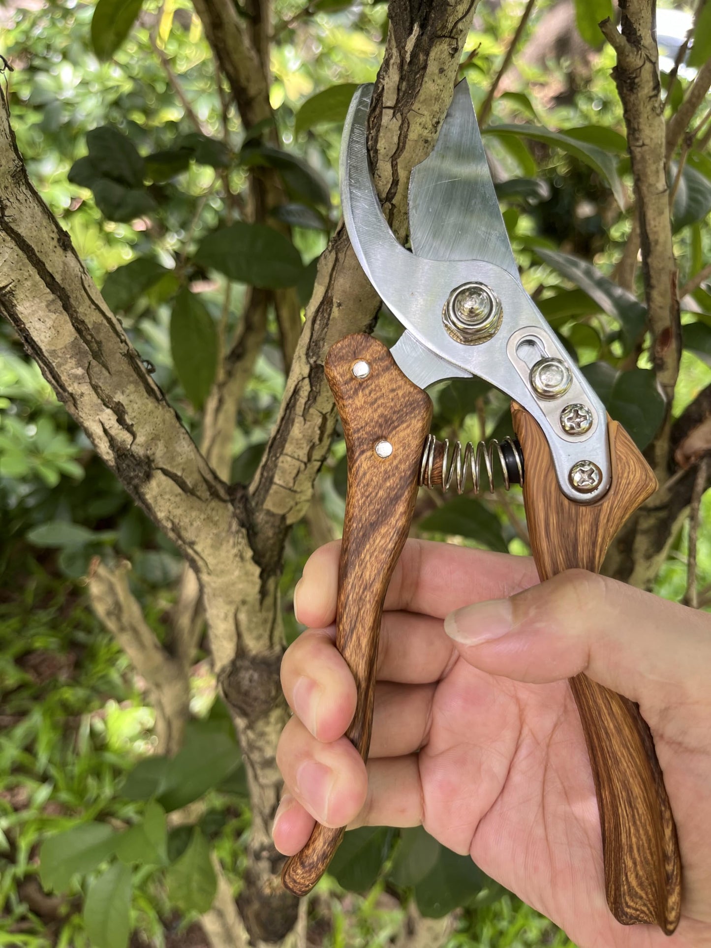 Garden Pruning Shears, High Carbon Steel