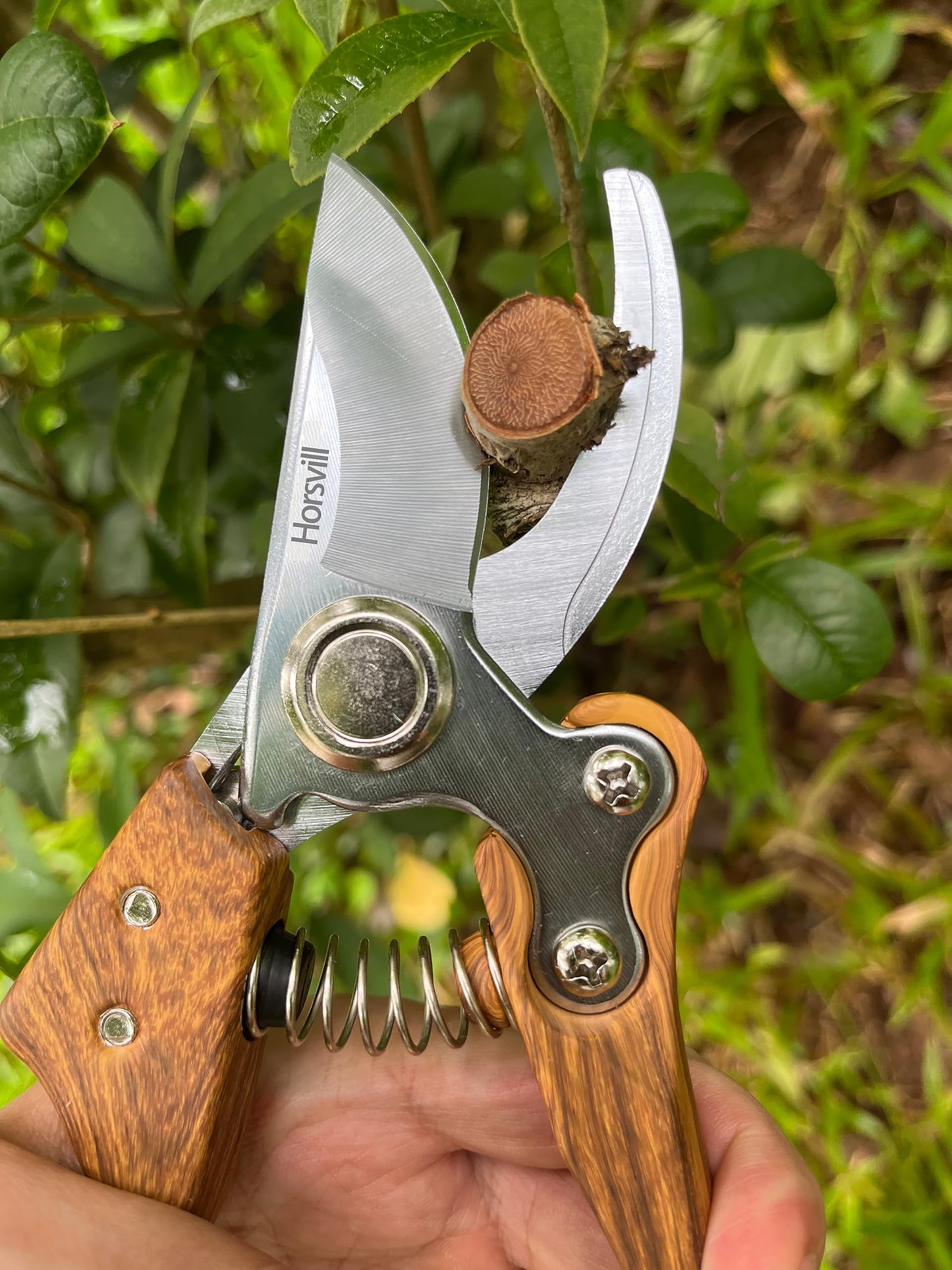 Garden Pruning Shears, High Carbon Steel