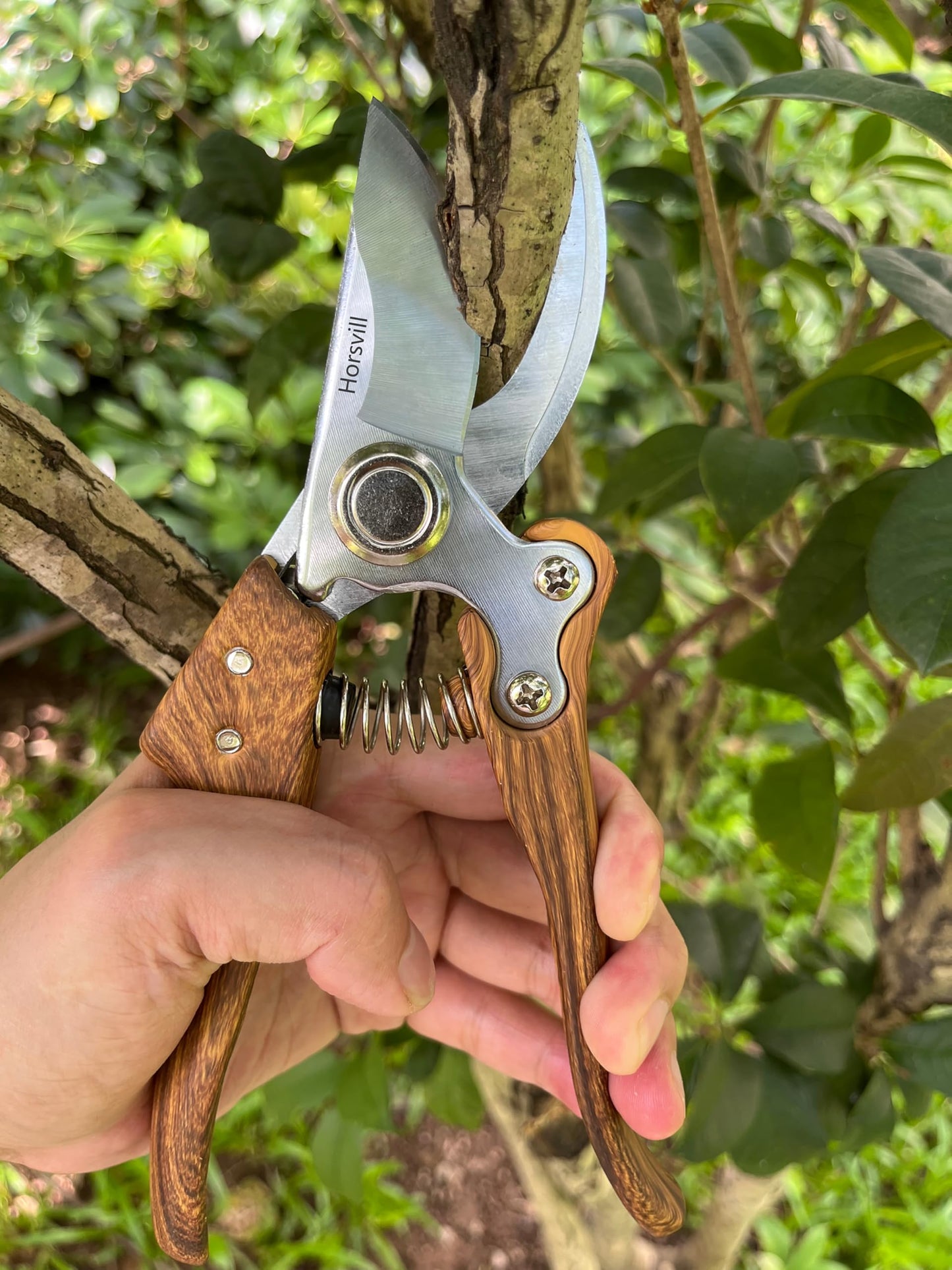 Garden Pruning Shears, High Carbon Steel