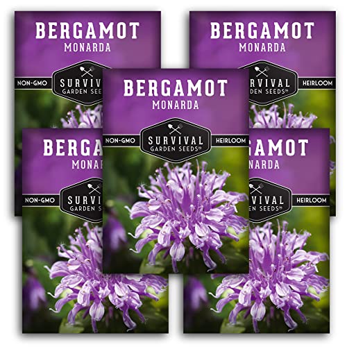 Survival Garden Seeds - Bergamot Herb (Bee Balm) Seed for Planting - Non-GMO Heirloom Variety