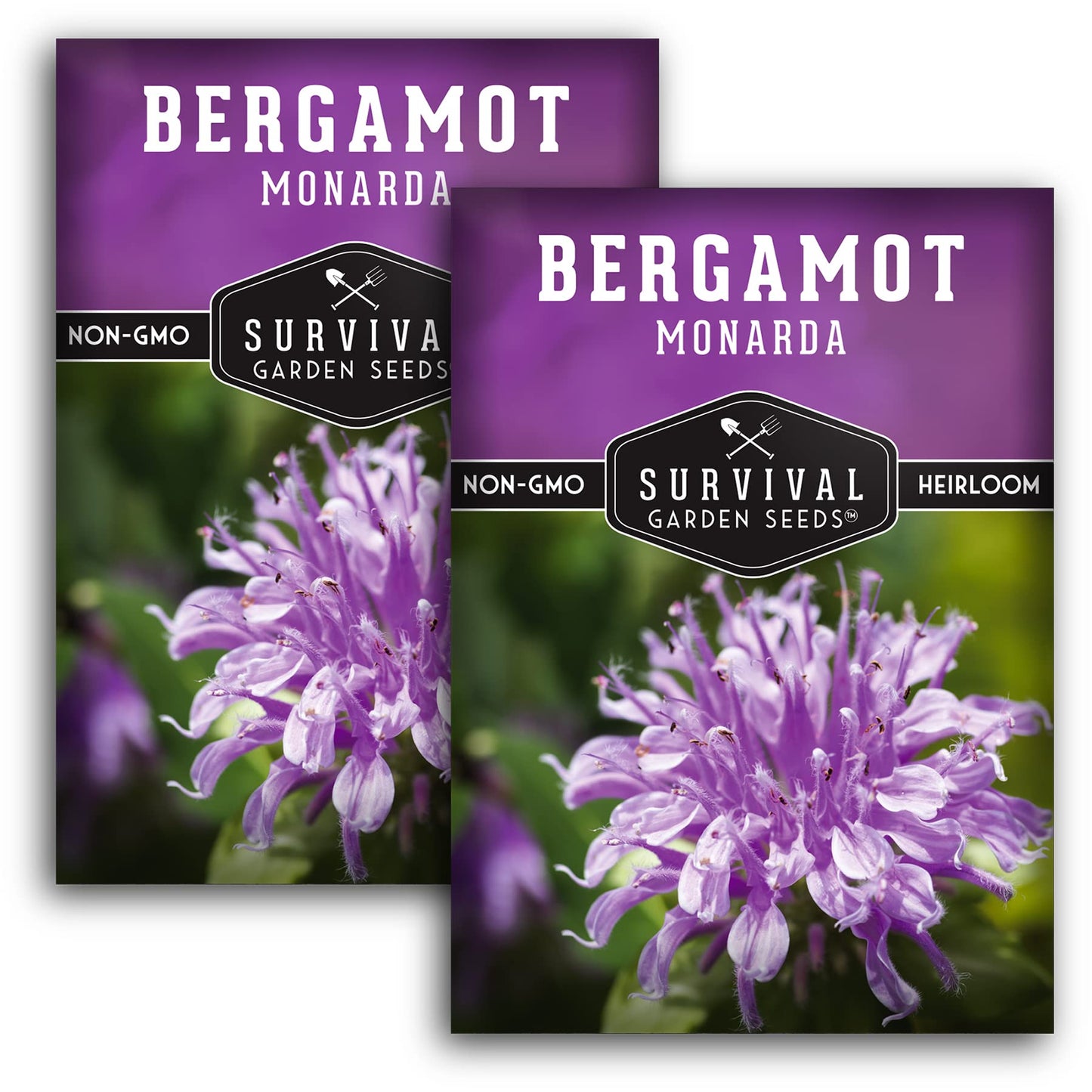 Survival Garden Seeds - Bergamot Herb (Bee Balm) Seed for Planting - Non-GMO Heirloom Variety