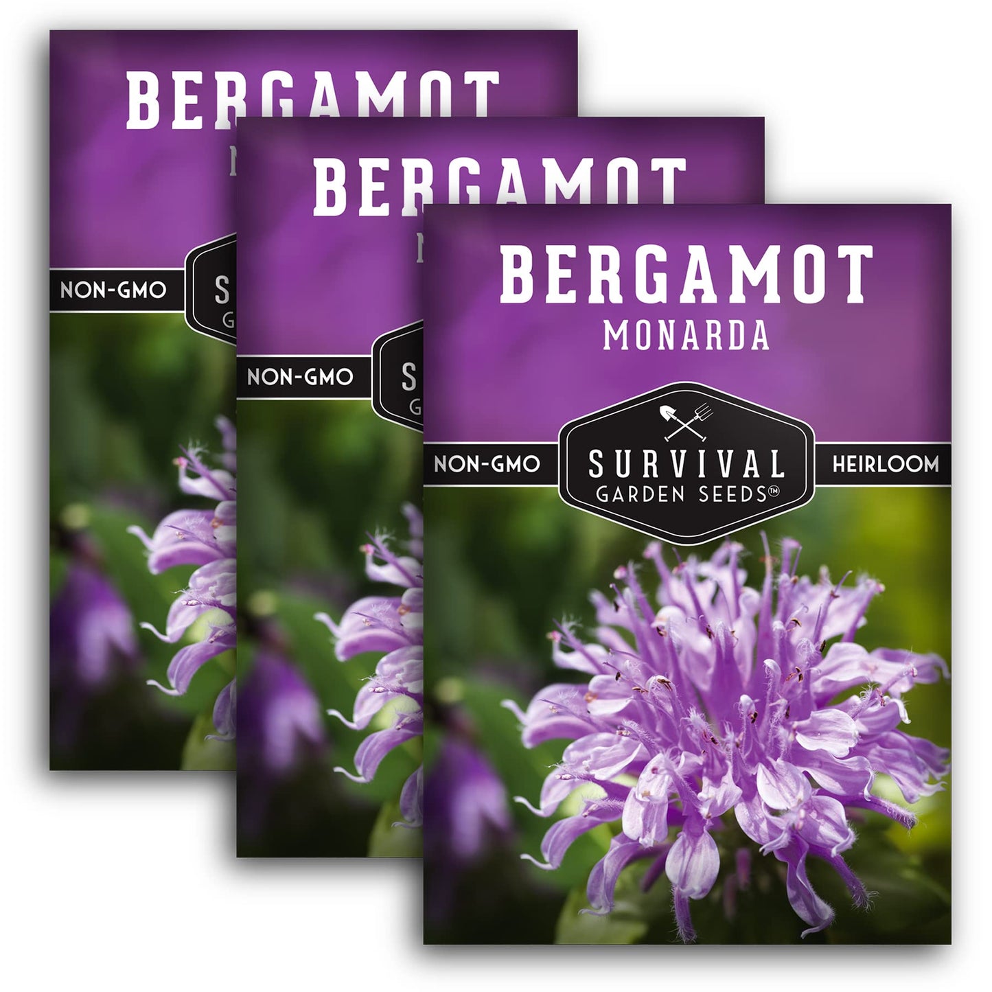 Survival Garden Seeds - Bergamot Herb (Bee Balm) Seed for Planting - Non-GMO Heirloom Variety